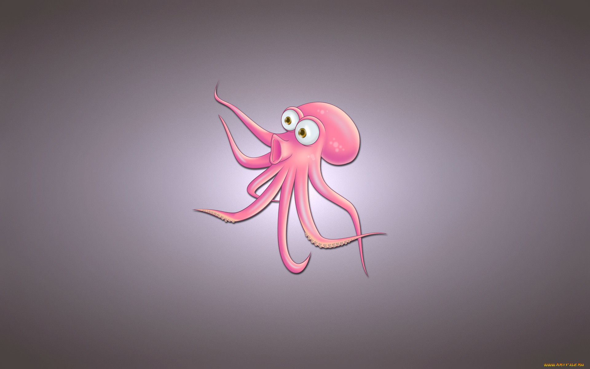 , , , octopus, , 